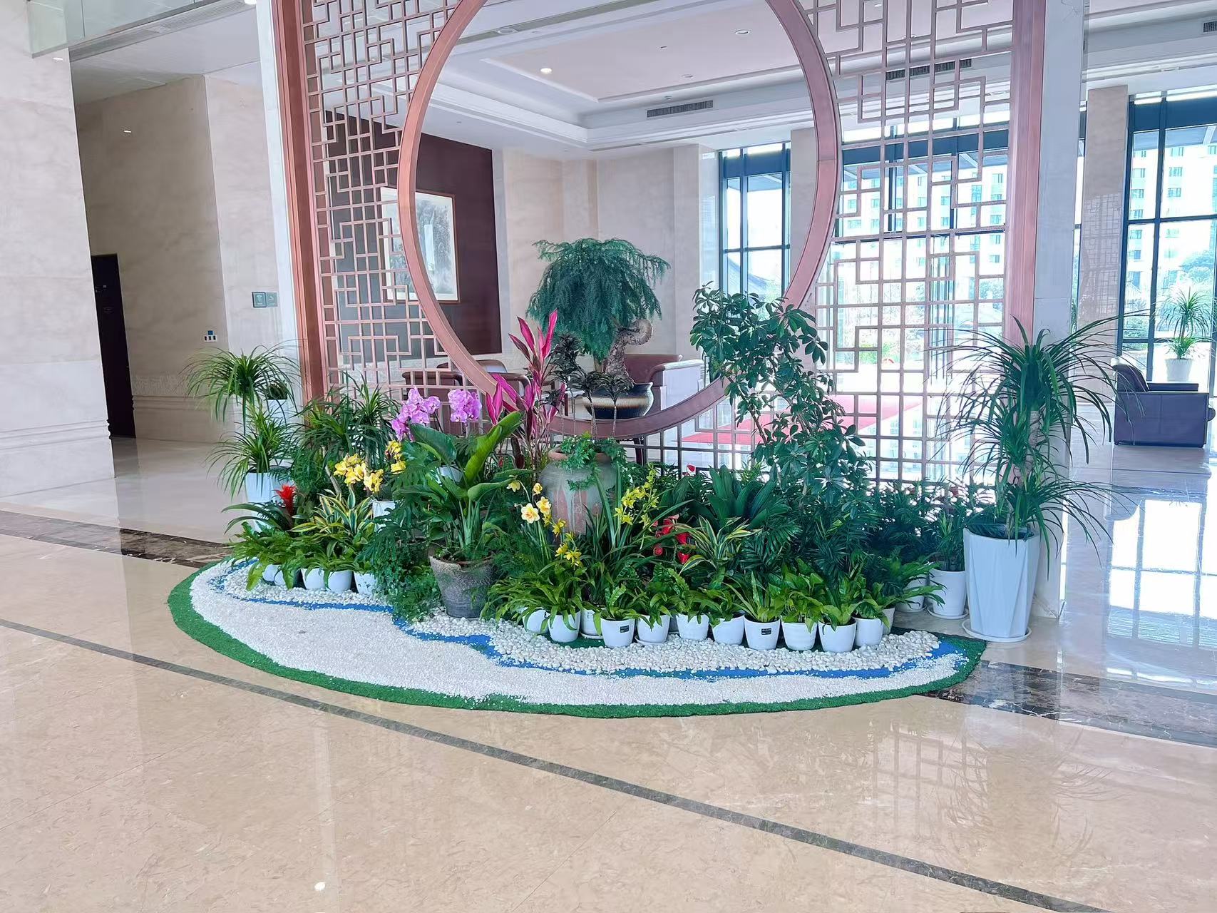 寻找花木租赁？杭州湾这里有惊喜
